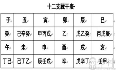 地支暗藏|十二地支藏幹解說